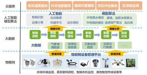 物聯(lián)網(wǎng)賦能 京藍(lán)科技引領(lǐng)農(nóng)業(yè)產(chǎn)業(yè)服務(wù)升級